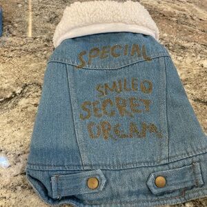 Denim Dog Jacket with Sherpa Lining for small dogs